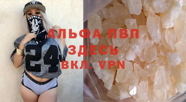 крисы Алексин