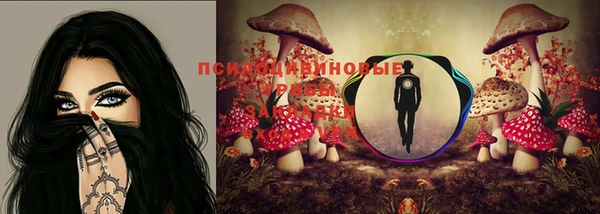крисы Алексин