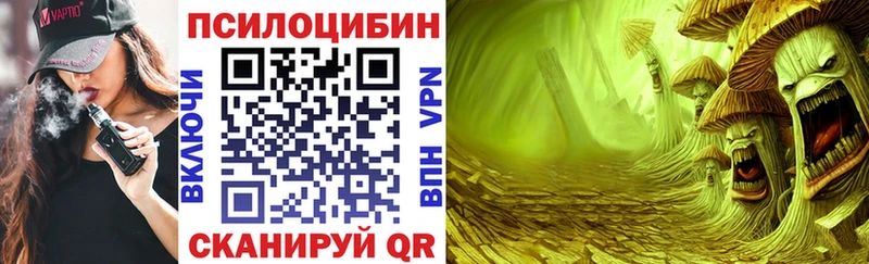 наркотики  Ивдель  Псилоцибиновые грибы мухоморы 